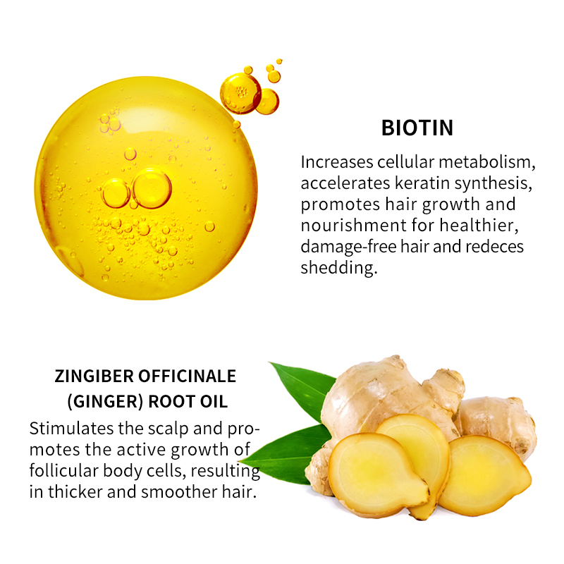 Sérum de croissance des cheveux à base de plantes avec biotine et gingembre